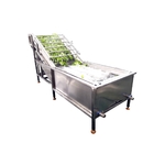220V Industrial Automatic Fruit Washer Machine For Vegetable Fruit Processing