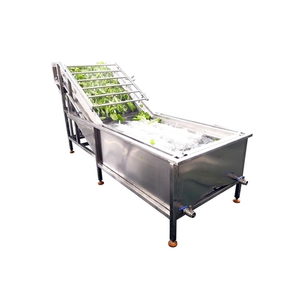 220V Industrial Automatic Fruit Washer Machine For Vegetable Fruit Processing