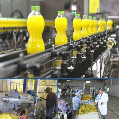 Mango juice processing line mango juice processing plant cost